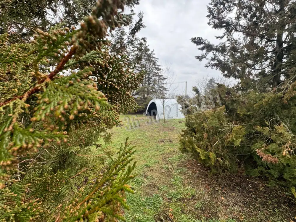 Bács-Kiskun megye - Kiskunfélegyháza