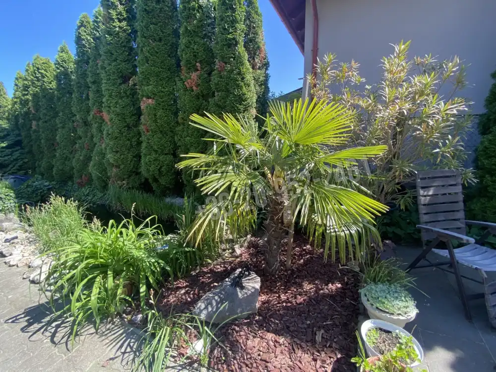 Komárom-Esztergom megye - Komárom