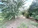 Pest megye - Kosd