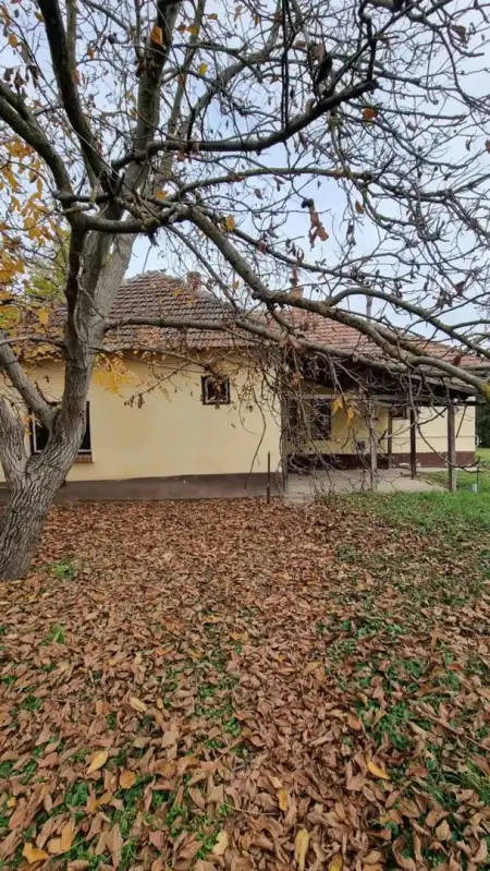 eladó családi ház, Kötegyán