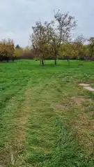Békés megye - Kötegyán