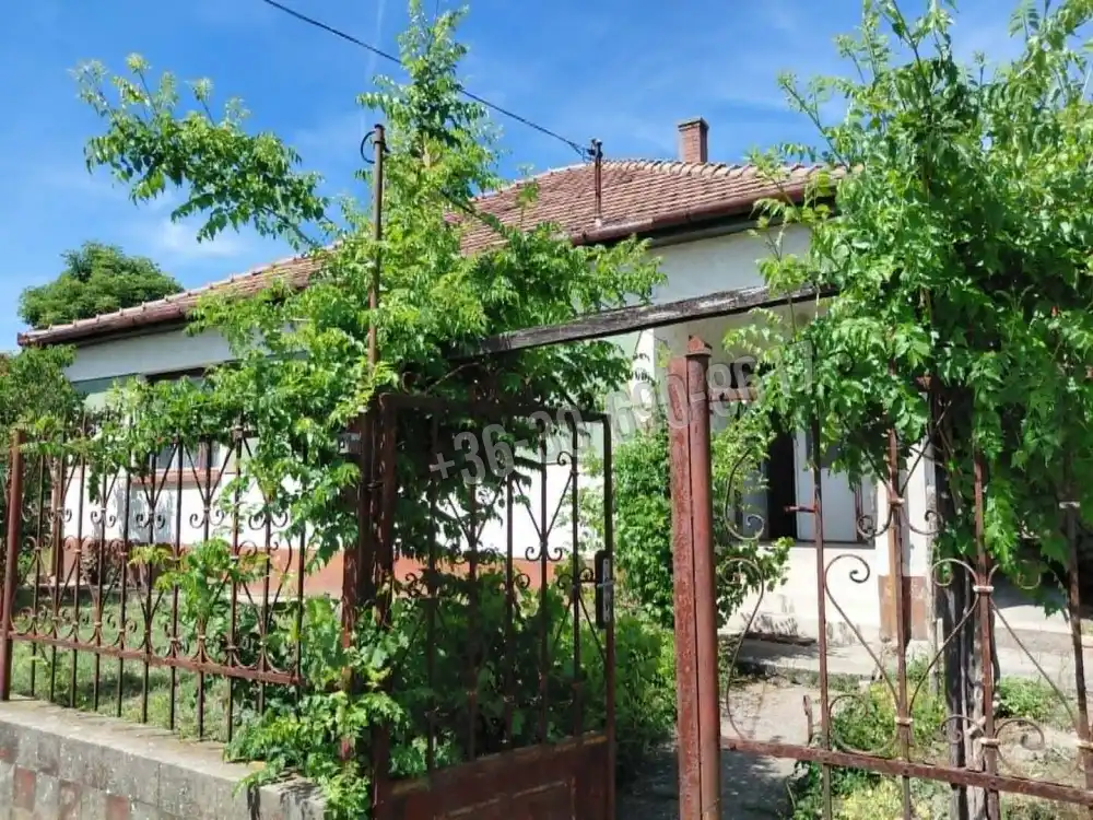 Bács-Kiskun megye - Kunbábony