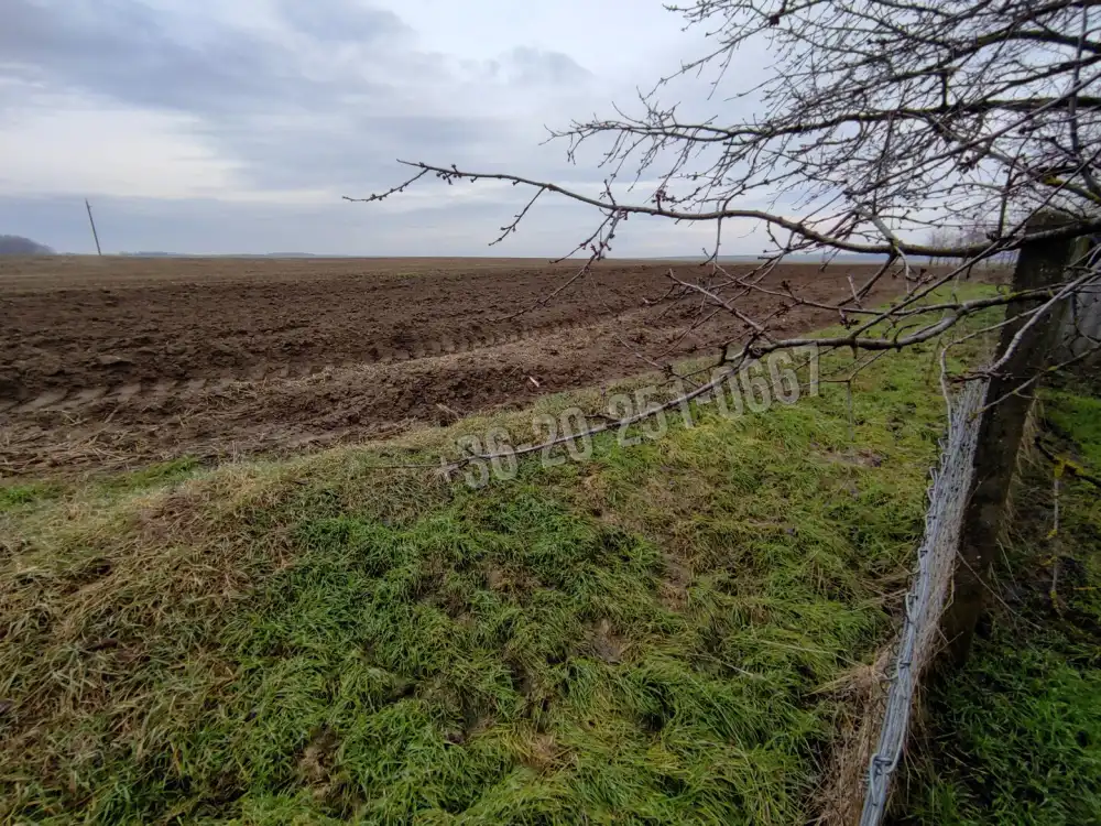 Baranya megye - Lánycsók