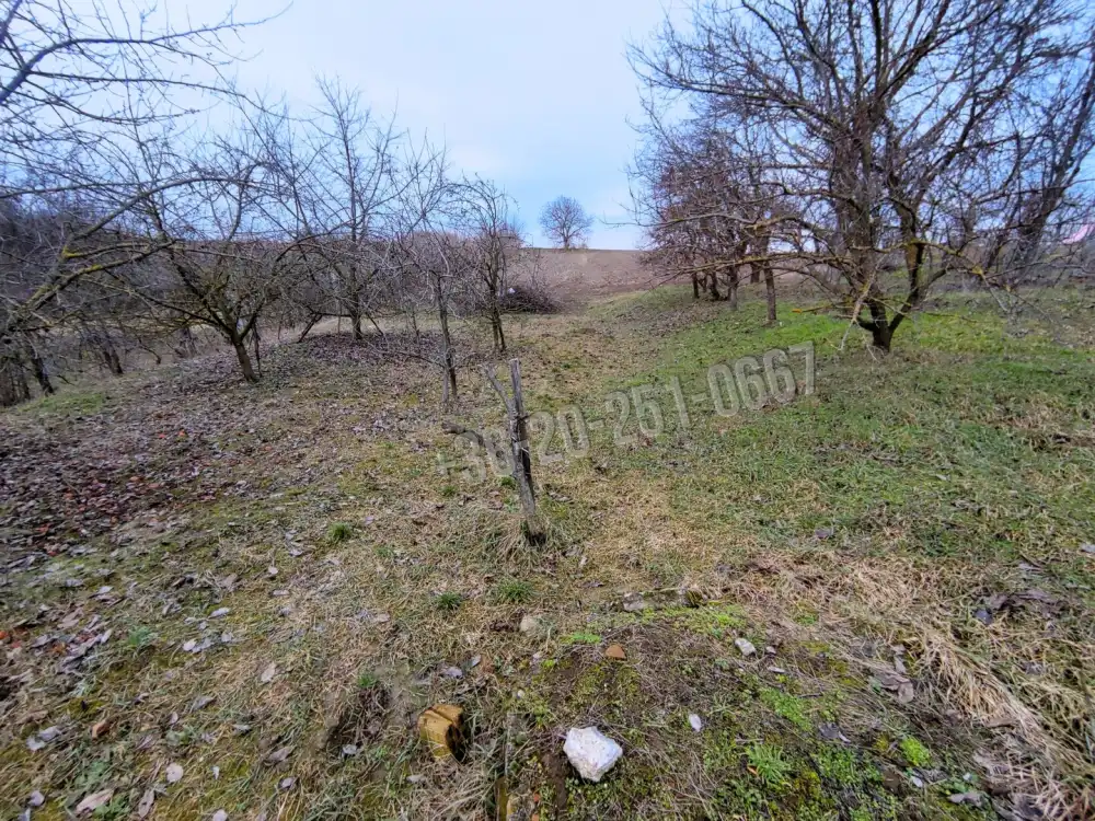 Baranya megye - Lánycsók