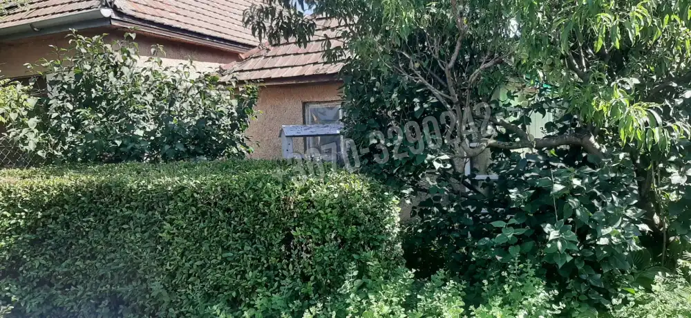 Borsod-Abaúj-Zemplén megye - Legyesbénye