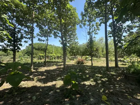 Eladó családi ház, Lovasberény 1 szoba 37 m² 30 M Ft