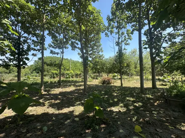 Eladó családi ház, Lovasberény 1 szoba 37 m² 30 M Ft