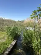 Pest megye - Majosháza