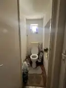 Csongrád megye - Makó
