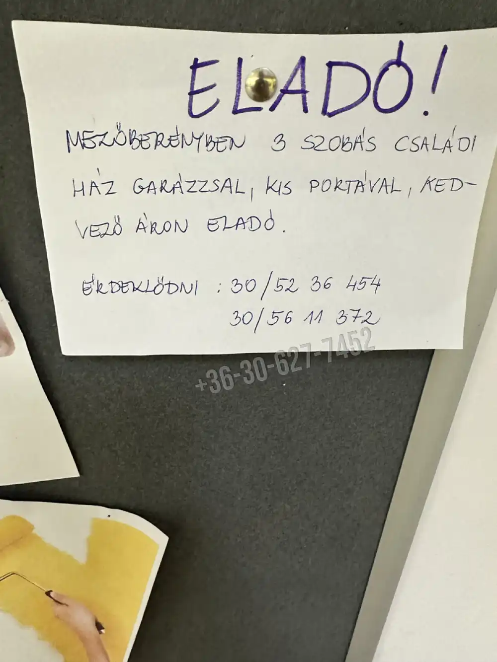 Békés megye - Mezőberény