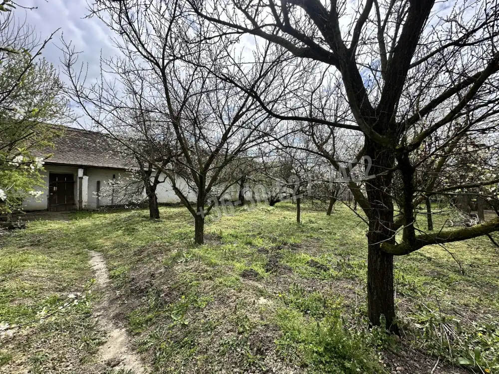 Békés megye - Mezőberény