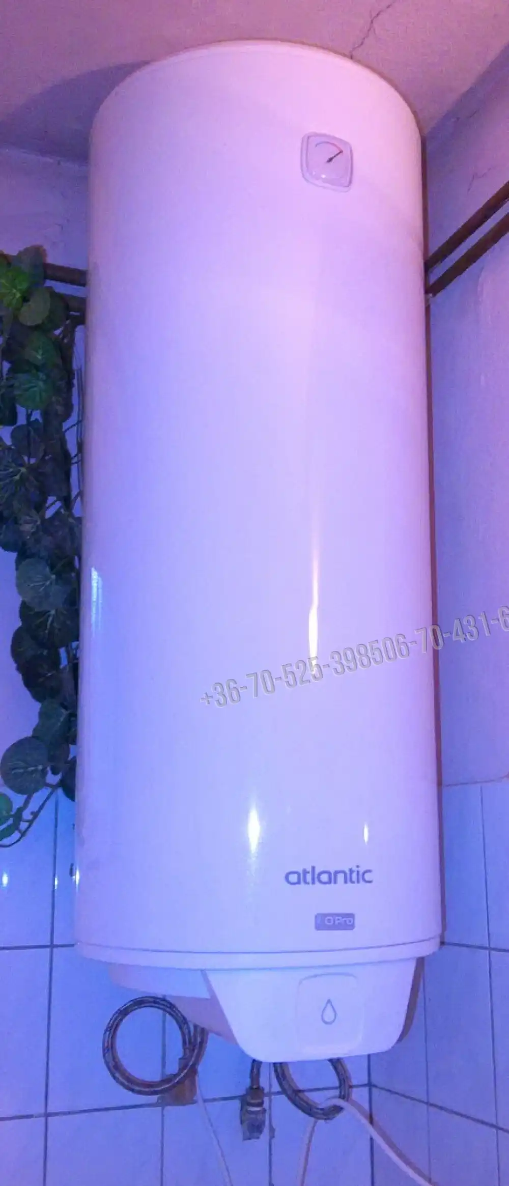 Pest megye - Mikebuda