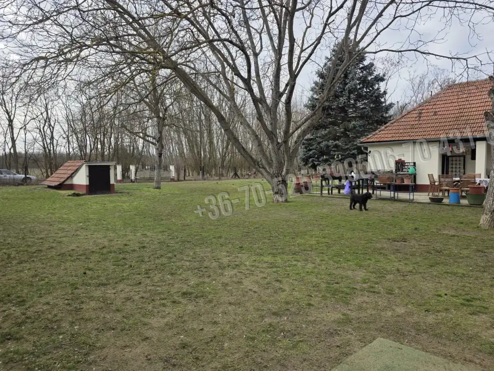 Pest megye - Mikebuda