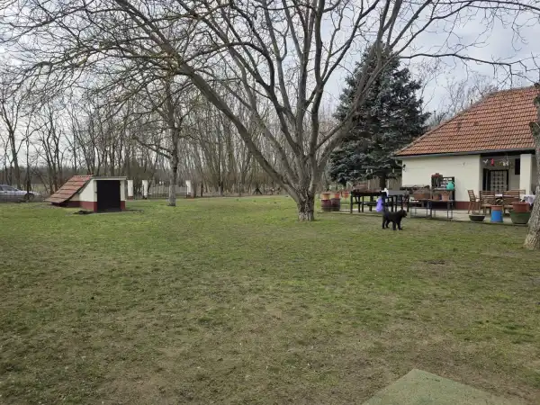 Eladó családi ház, Mikebuda 7 szoba 120 m² 45.9 M Ft