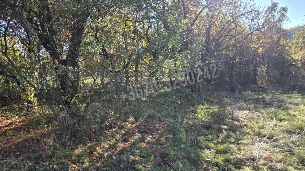 Borsod-Abaúj-Zemplén megye - Monok