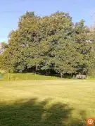 Fejér megye - Nadap