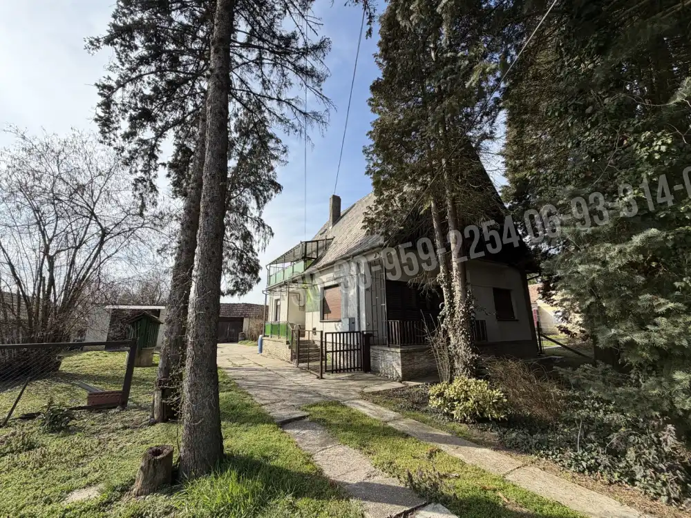 Zala megye - Nagykanizsa-Palin