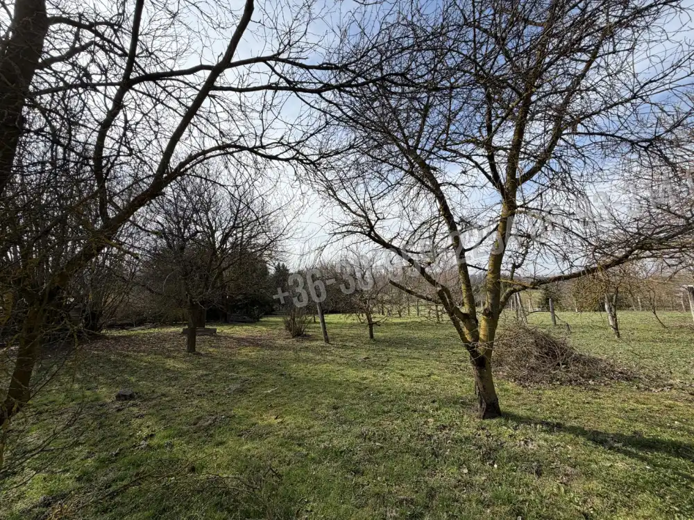 Zala megye - Nagykanizsa-Palin