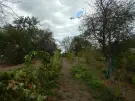 Komárom-Esztergom megye - Naszály