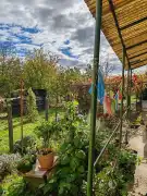 Zala megye - Nemesapáti