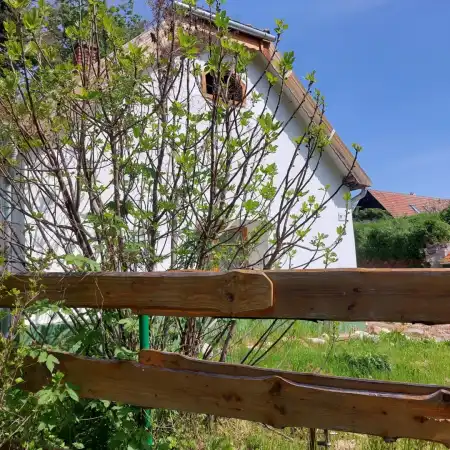 eladó családi ház, Nemesvita