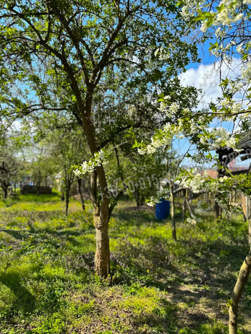 Nógrád megye - Nógrád