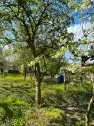 Nógrád megye - Nógrád