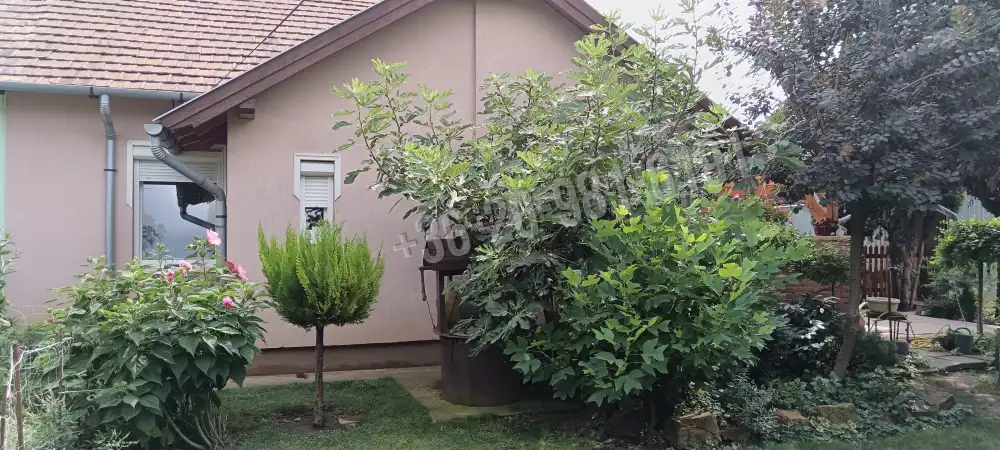 Szabolcs-Szatmár-Bereg megye - Nyíregyháza