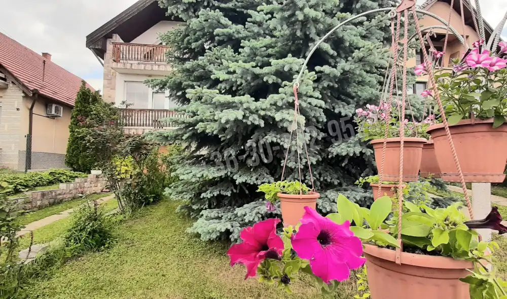 Pest megye - Őrbottyán
