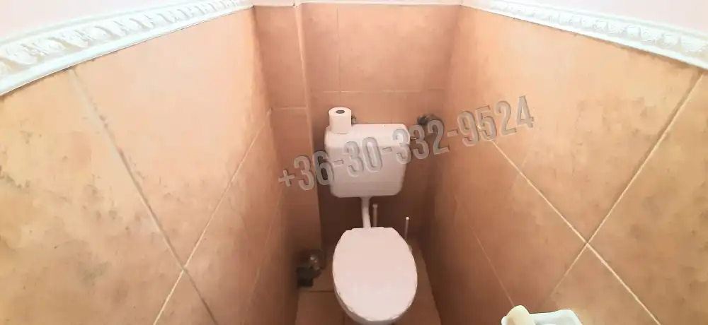 Pest megye - Őrbottyán