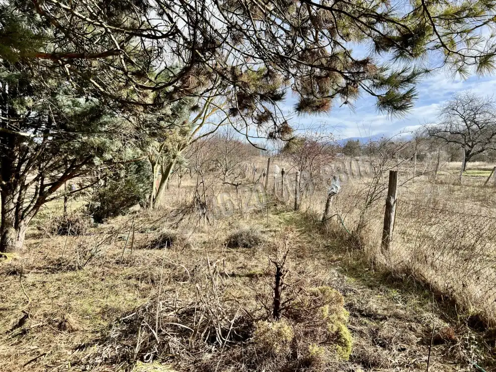 Fejér megye - Pátka