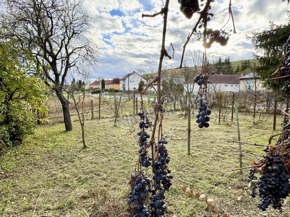 Heves megye - Pétervására