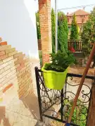 Pest megye - Pilis