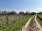 Fejér megye - Polgárdi