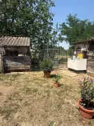 Hajdú-Bihar megye - Püspökladány