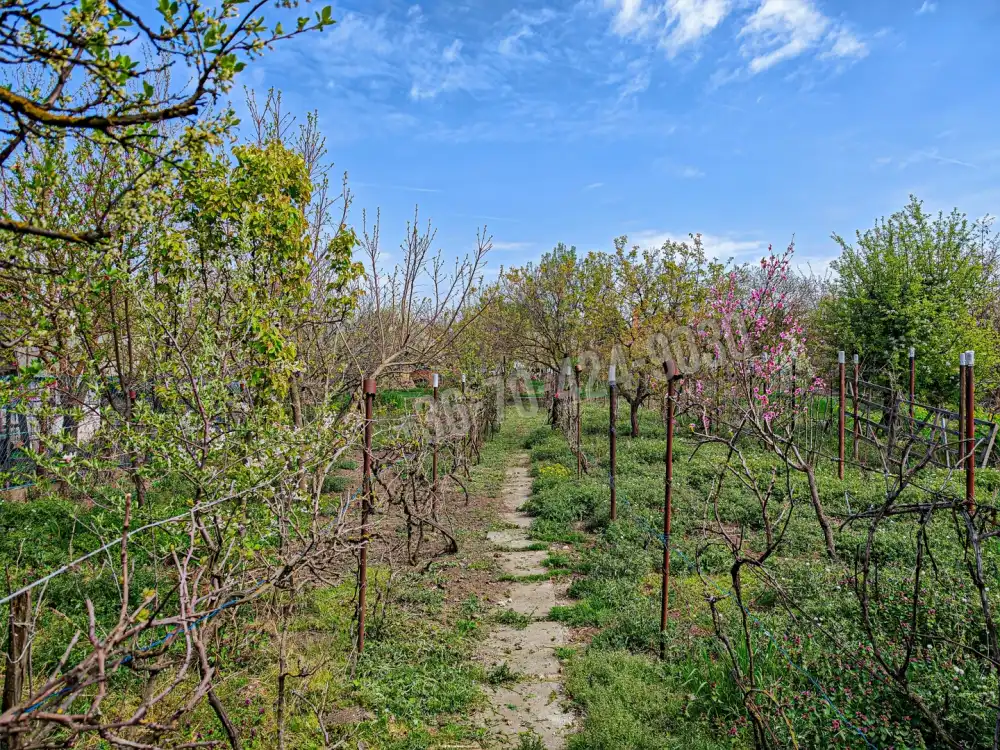 Fejér megye - Pusztaszabolcs