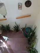 Pest megye - Pusztavacs