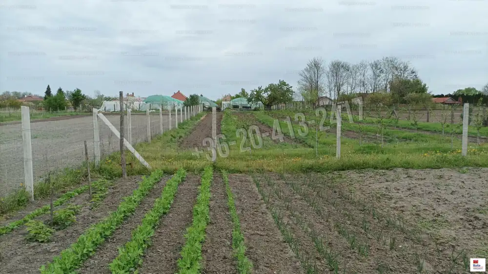 Pest megye - Pusztavacs