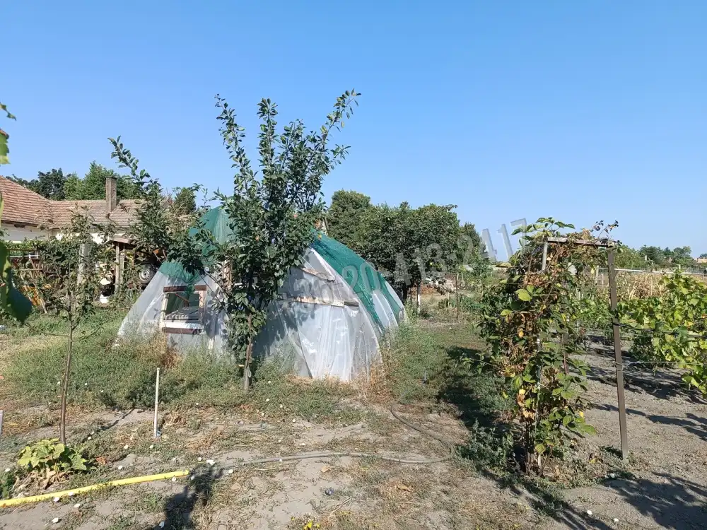 Pest megye - Pusztavacs