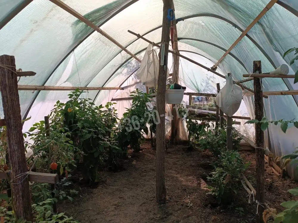 Pest megye - Pusztavacs