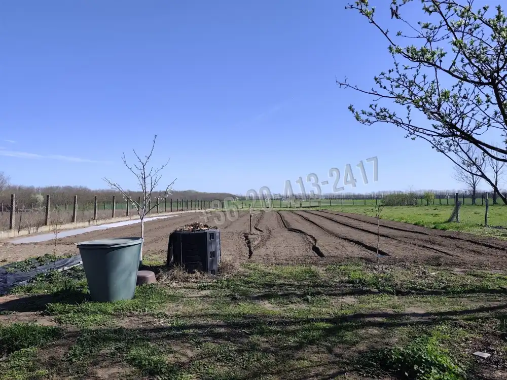 Pest megye - Pusztavacs