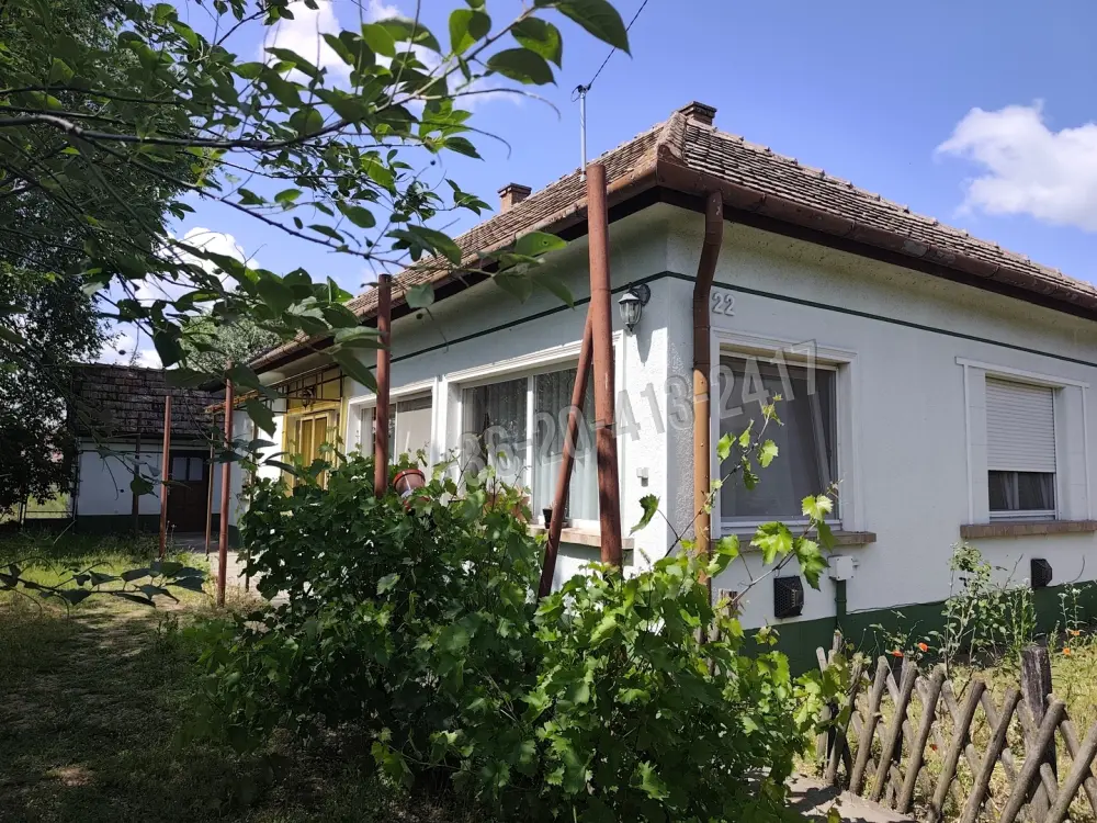 Pest megye - Pusztavacs