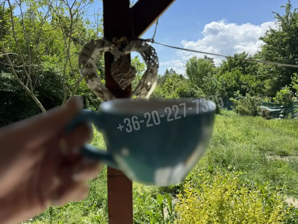 Pest megye - Ráckeve