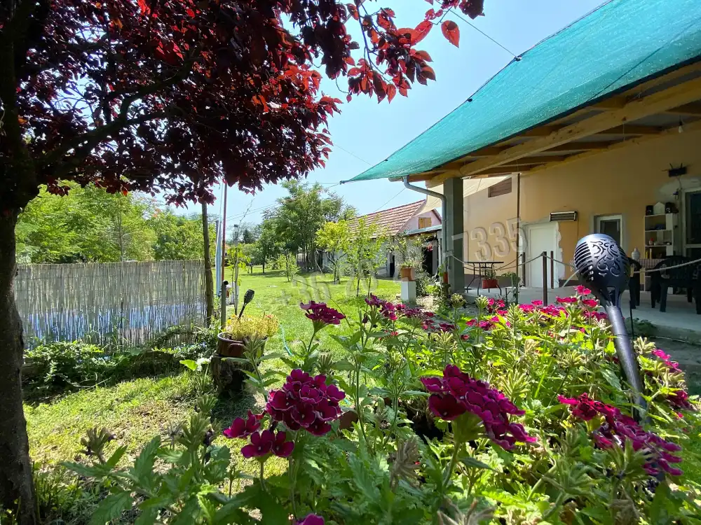 Pest megye - Ráckeve