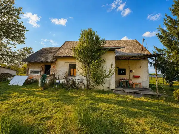 Eladó családi ház, Ráckeve 1 szoba 600 m² 42.5 M Ft