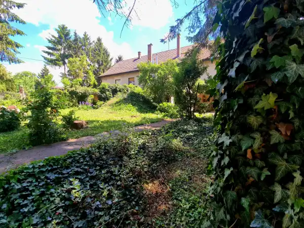 Eladó családi ház, Rád 4+1 szoba 200 m² 84.9 M Ft