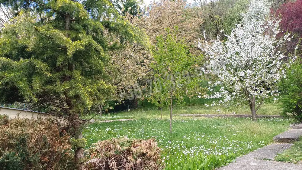 Nógrád megye - Salgótarján