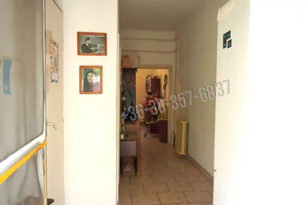 Csongrád megye - Sándorfalva