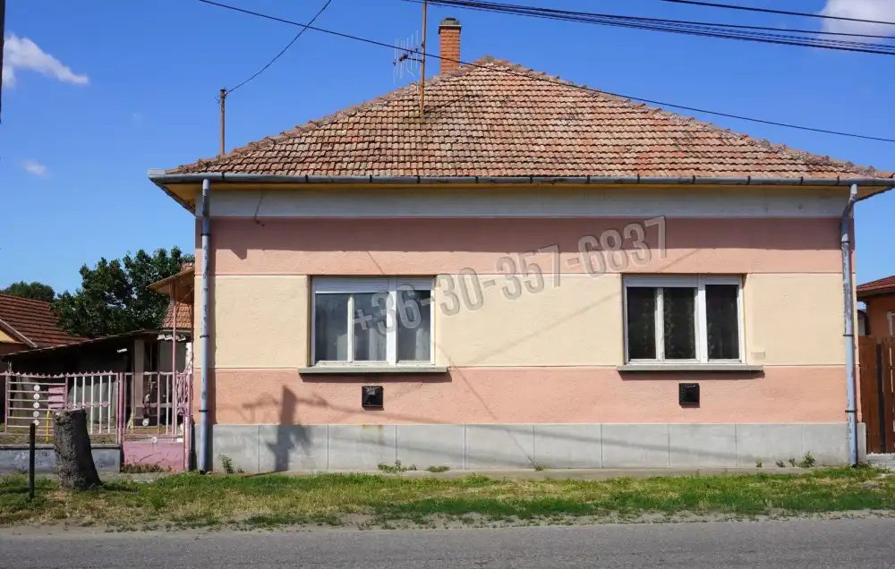 Csongrád megye - Sándorfalva