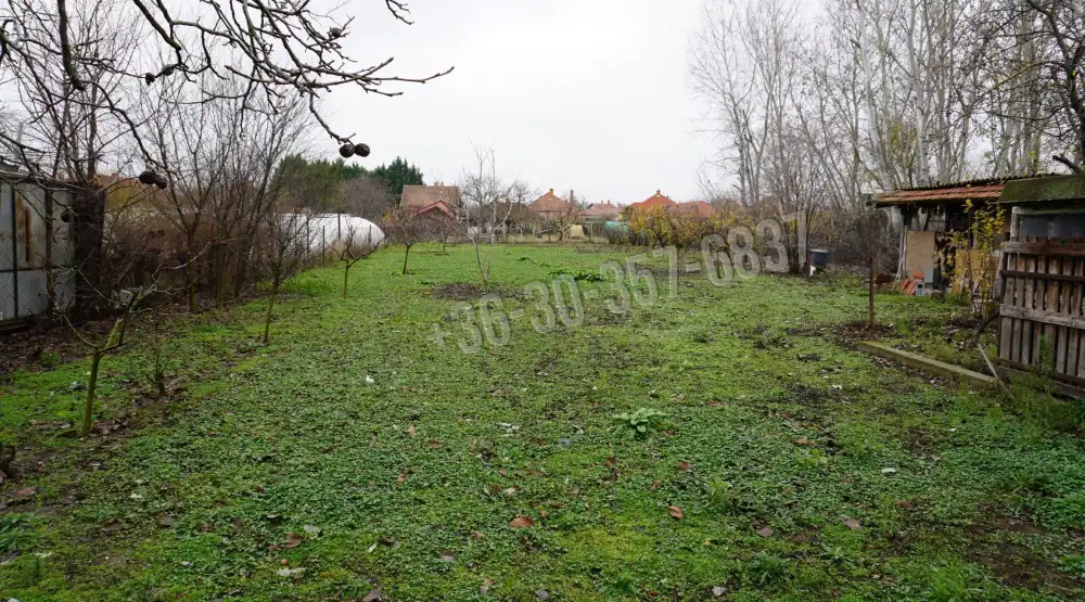 Csongrád megye - Sándorfalva